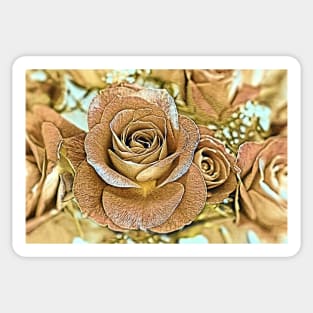 Roses No.1-24 Sticker